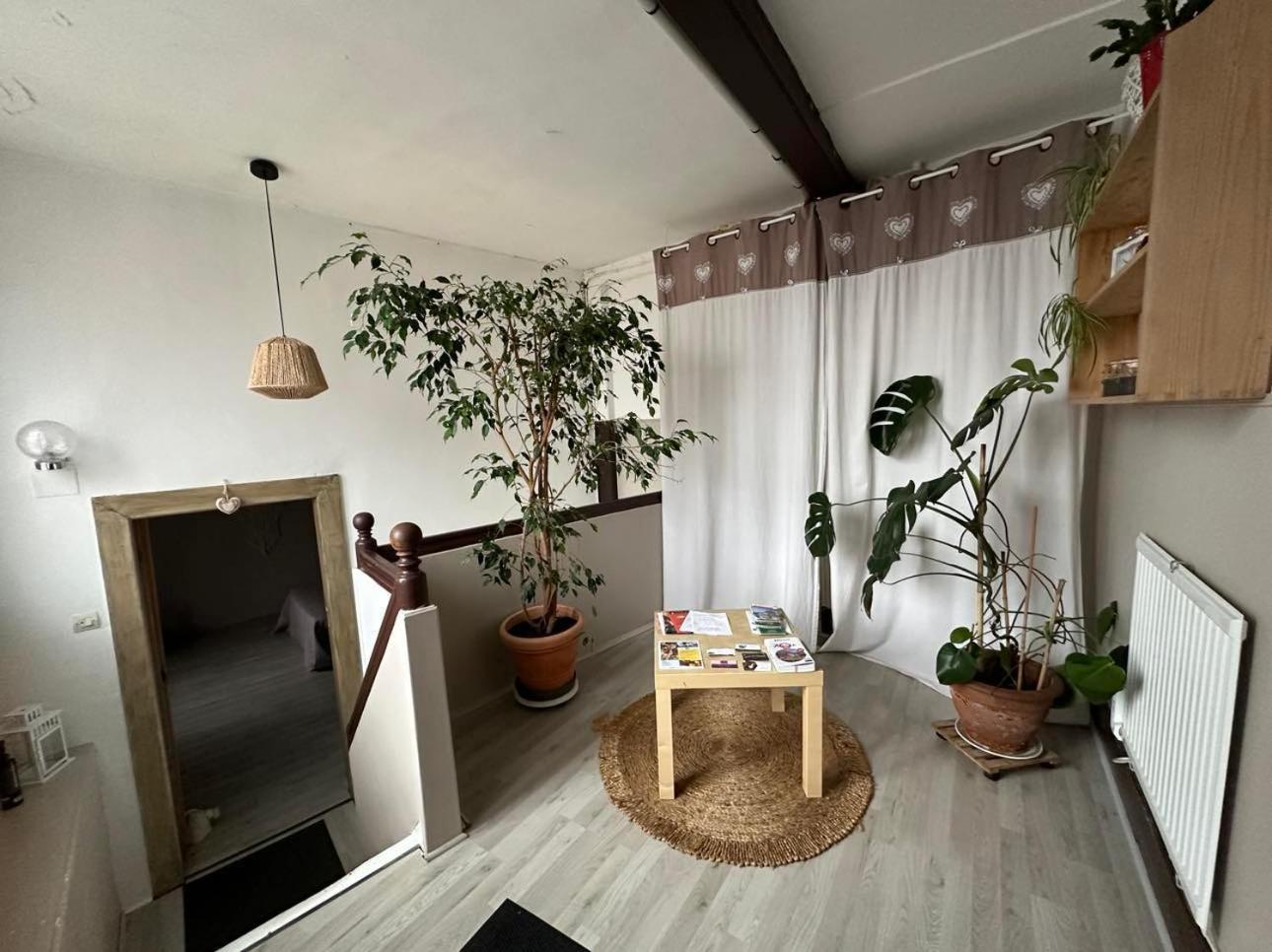 Gite Au Giessen - 1Er Etage Biesheim Esterno foto